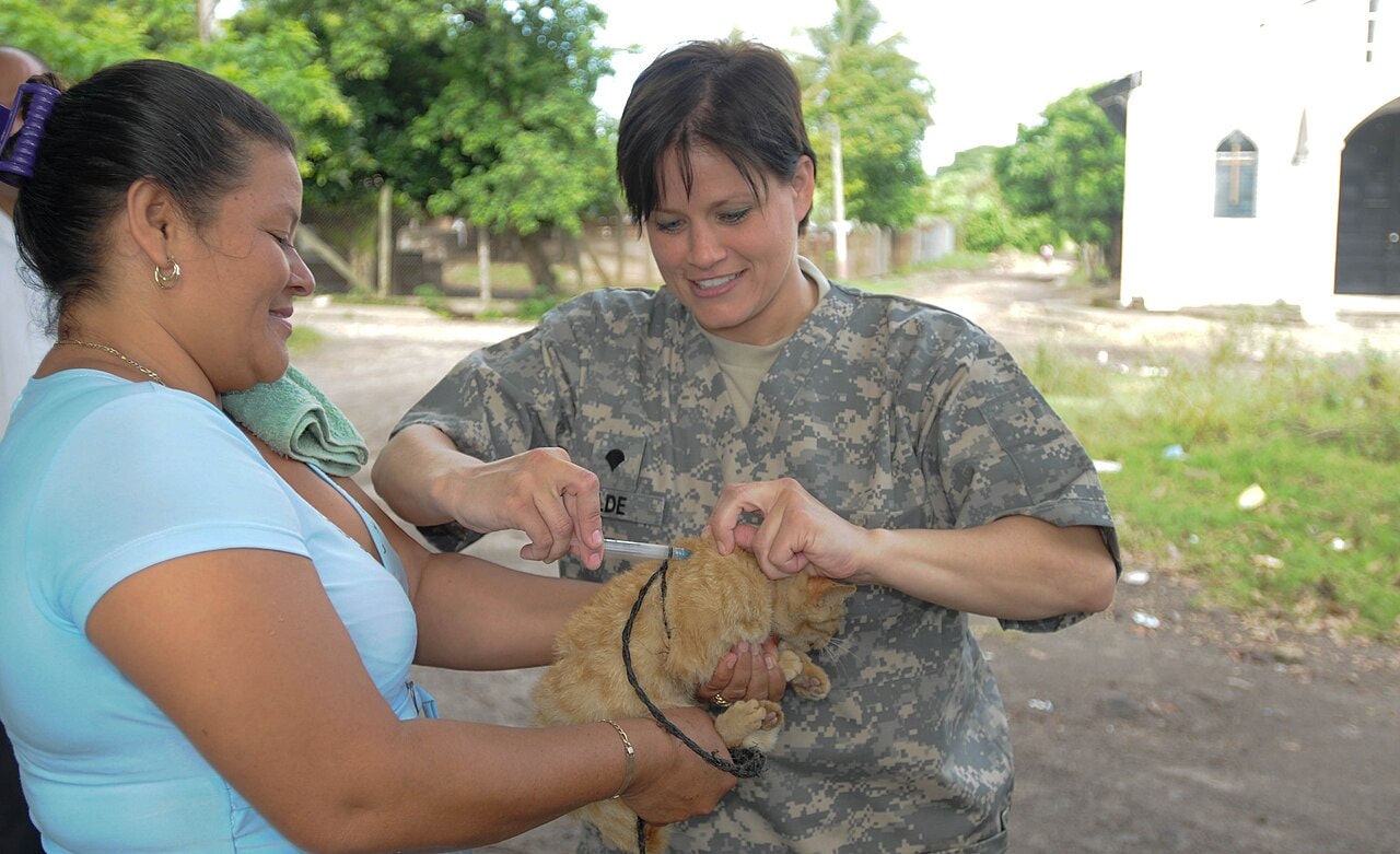 Zoonosis retomó la vacunación antirrábica gratuita para perros y gatos
